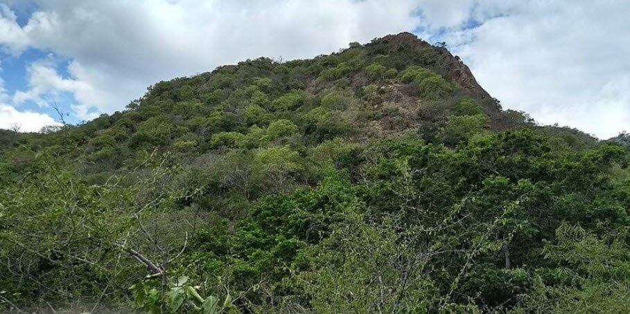 Sathuragiri Hills